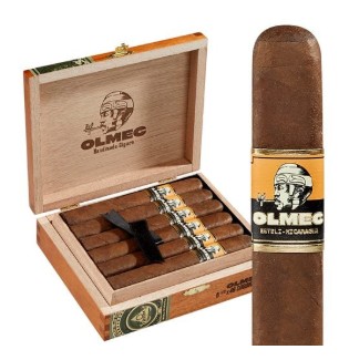 Photo of Foundation Olmec Maduro and Claro Toro 6″x52